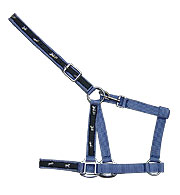 Click here to see complete image