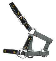 Click here to see complete image