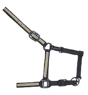 Click here to see complete image