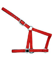 Click here to see complete image