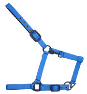 Click here to see complete image