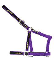 Click here to see complete image