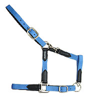 Click here to see complete image